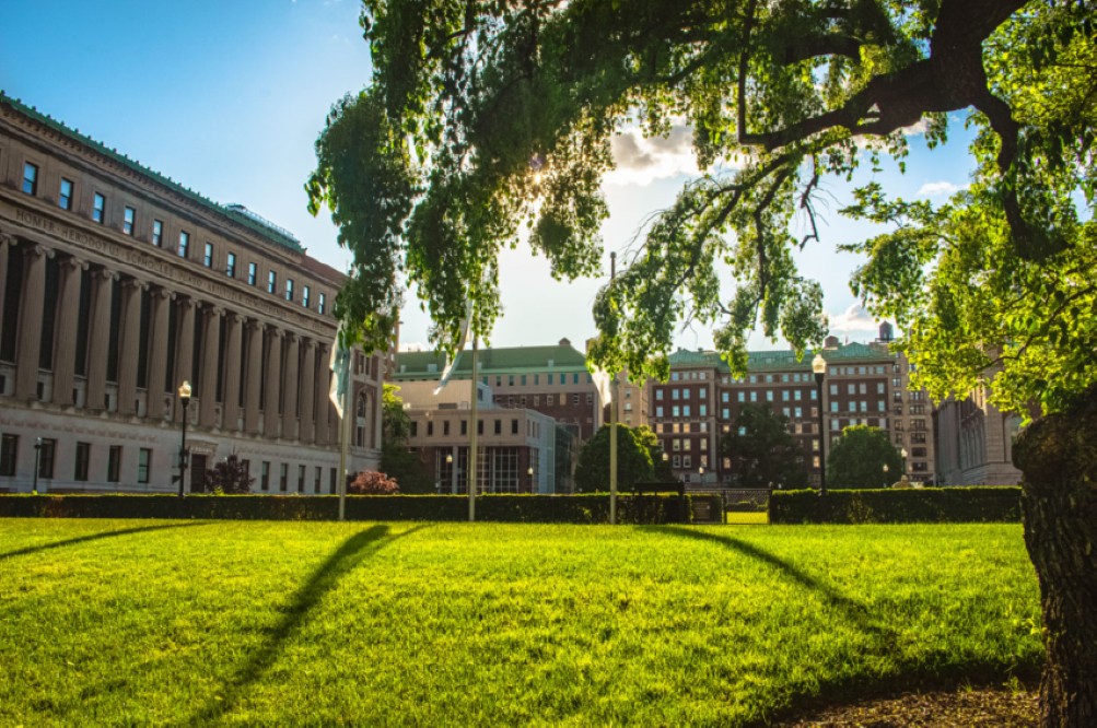 Butler library and the south lawns on a sunny day