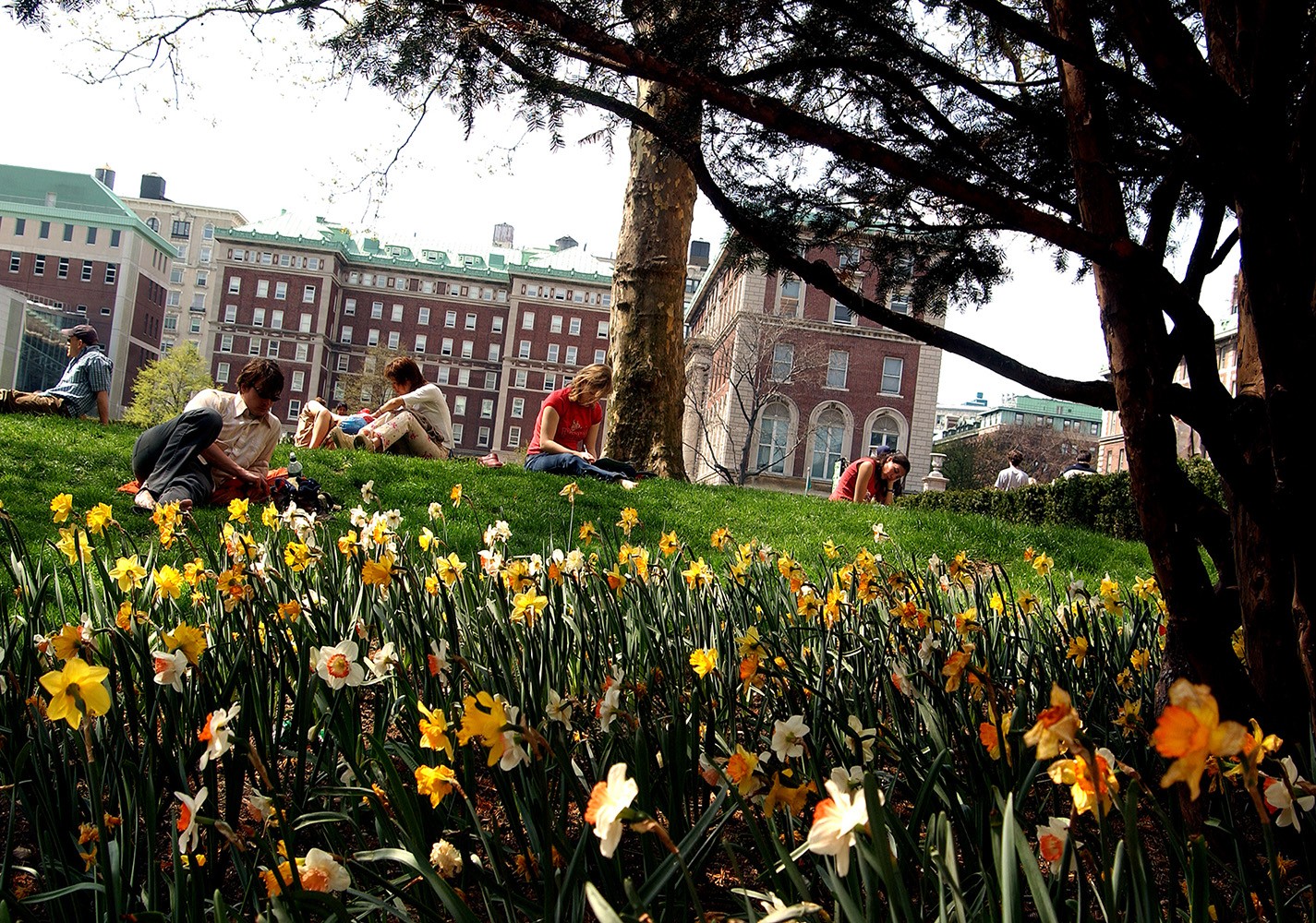 Students sitting on a campus lawn