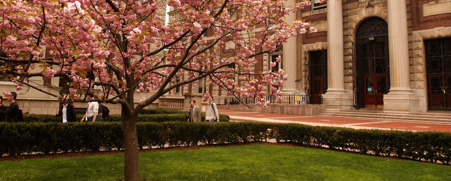 Campus in the spring