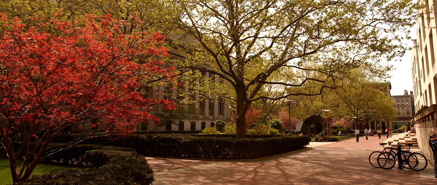 campus during the fall