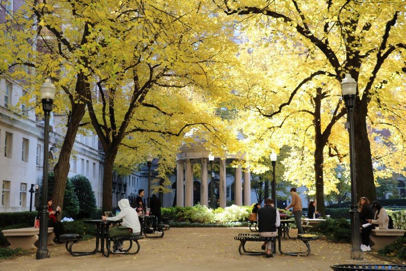 Students sitting on Van Am Quad in the fall term