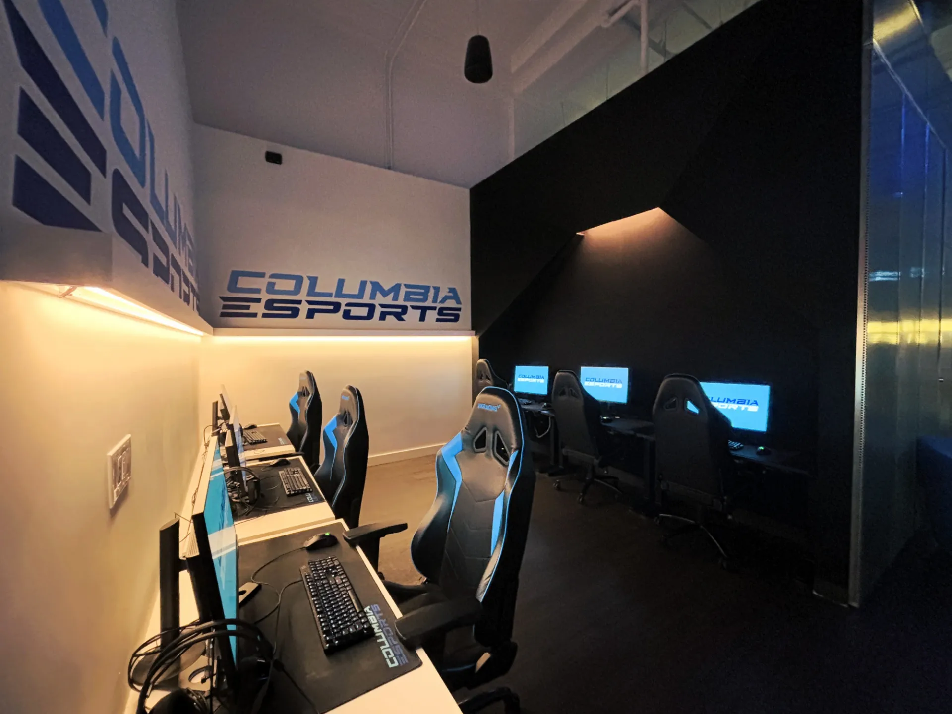 The Walter and Shirley Fan Wang ESPORTS Room