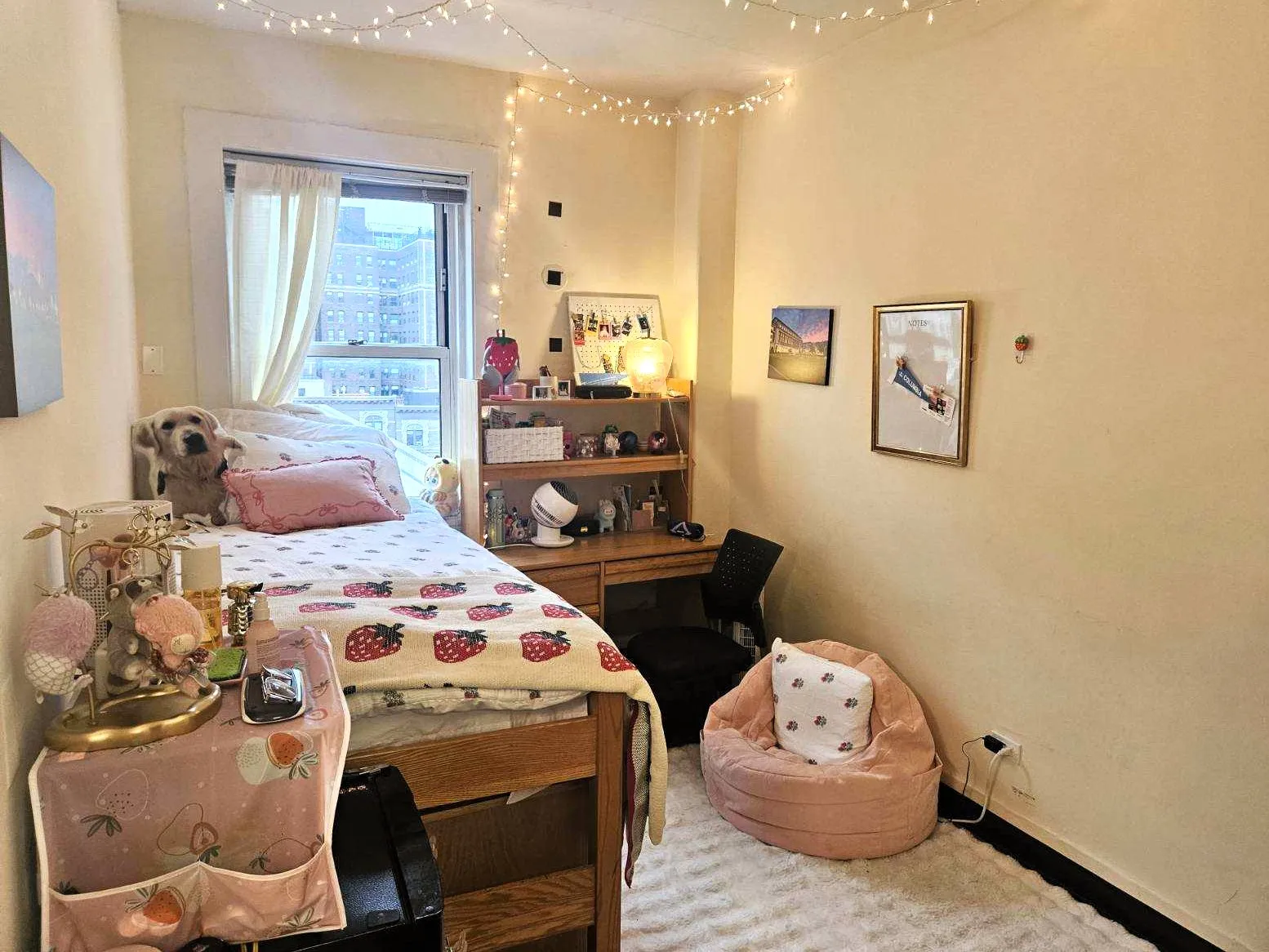 Wien student room
