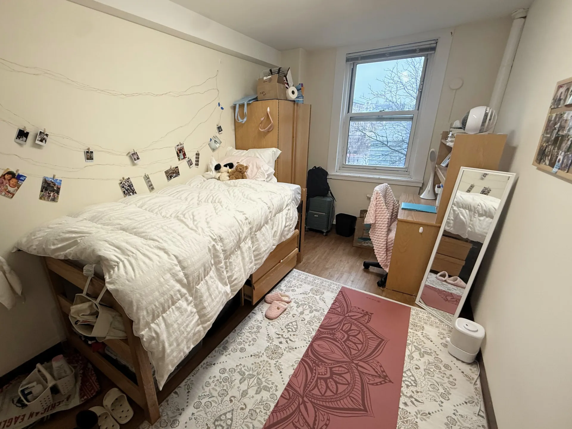 Wien student room